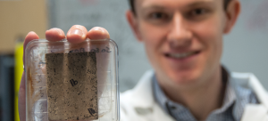 New research finds that mould can infiltrate and weaken bio-composite materials