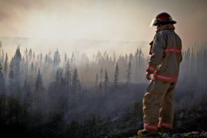 Preparing for the next wildfire